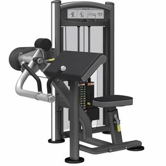 Maszyna do ćwiczeń mięśni ramion IMPULSE IT9303 (150 LBS)
