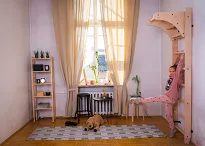 Drabinka gimnastyczna BenchK 111 - 3