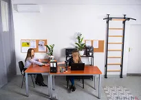 Drabinka gimnastyczna BenchK 521B - 2