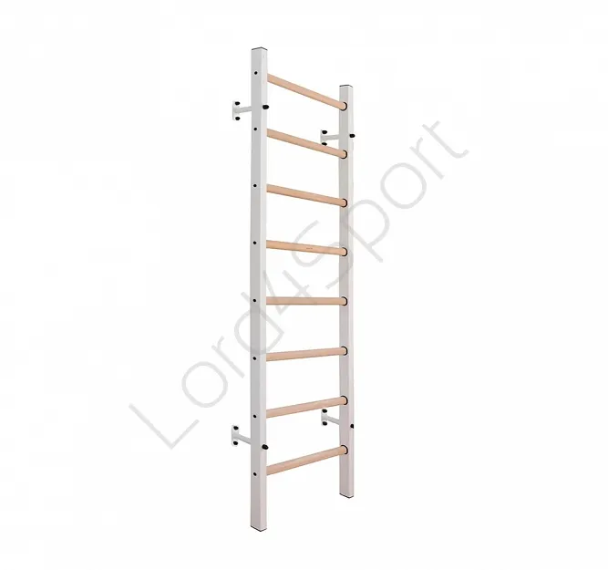 Drabinka gimnastyczna BenchK 200W