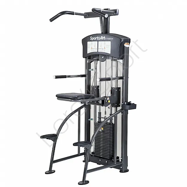 Mięśnie grzbietu i triceps - SportsArt DF207