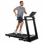 Bieżnia elektryczna HAMMER Q. VADIS 10.0 - 14