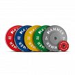 Obciążenie bumper 20 kg HAMMER 50mm - 3