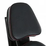 Maszyna dwufunkcyjna FINNLO MAXIMUM INSPIRE LEG EXTENSION/CURL - 14