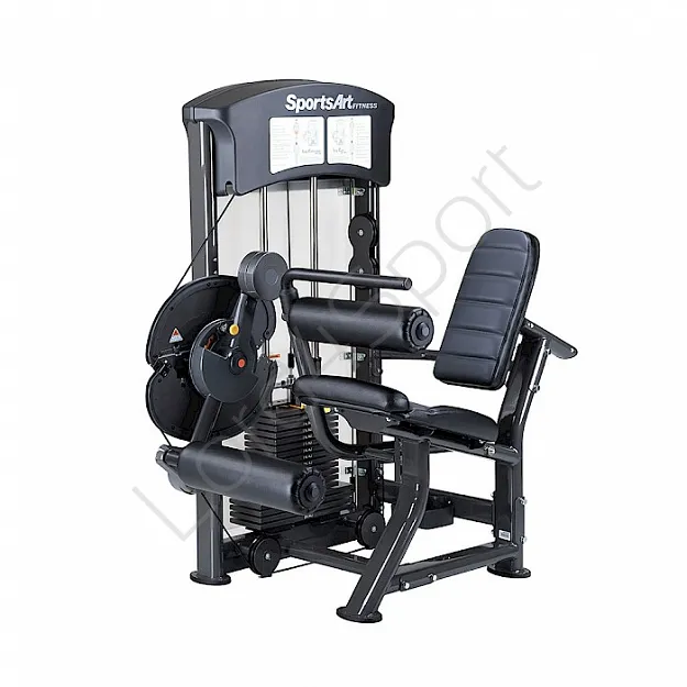 Mięsień czworogłowy i dwugłowy uda - SportsArt DF200