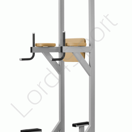Przyrząd dip wolnostojący MASTER SPORT JP-31A