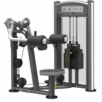 Maszyna do mięśni naramiennych IMPULSE IT9324(200LBS)