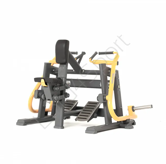 Maszyna do ćwiczeń mięsni pleców NS 06 MASTER SPORT