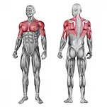 Brama OLYMP G 006 - 2