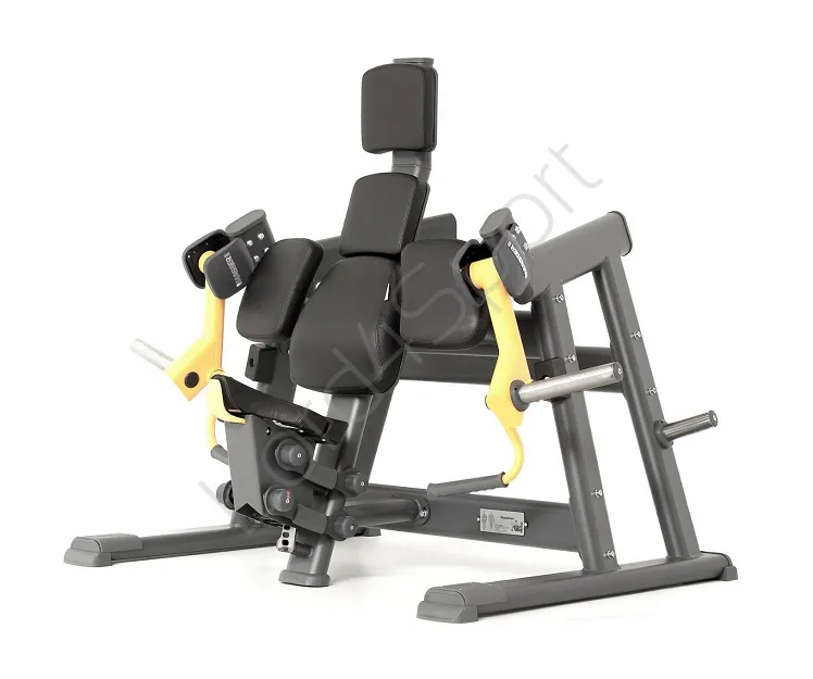 Maszyna do ćwiczeń dwugłowy ramion NS 04 MASTER SPORT